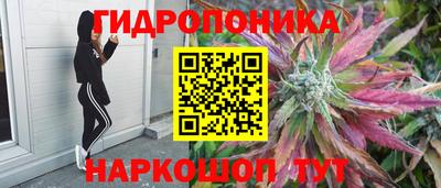 ГАЛЛЮЦИНОГЕННЫЕ ГРИБЫ Пыть-Ях