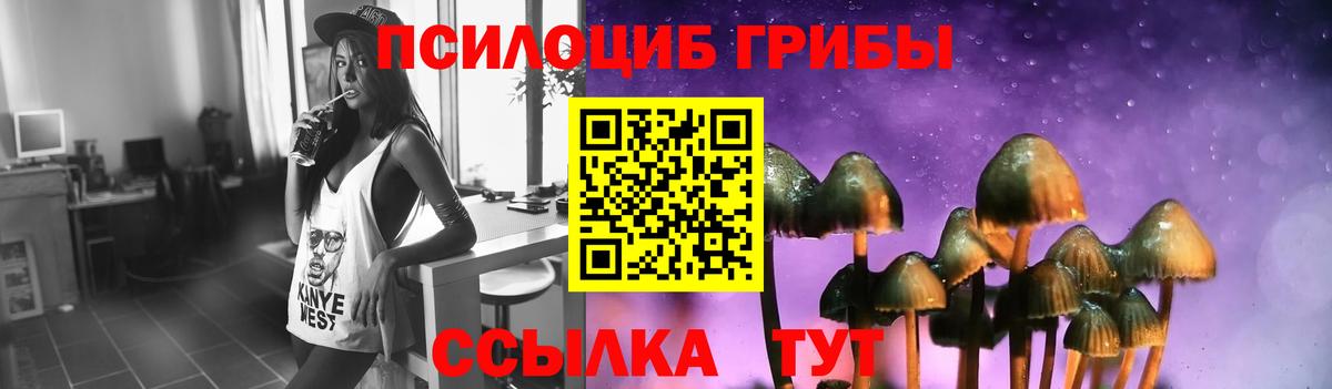 хочу наркоту  Псилоцибиновые грибы ЛСД  Вход с VPN  Тулун 